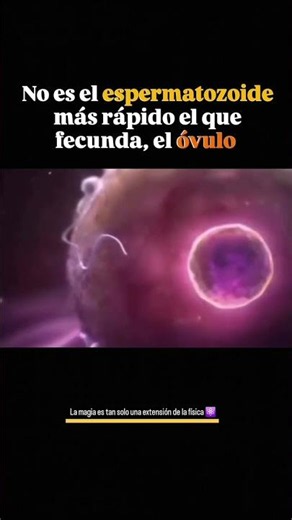 No es el espermatozoide más rápido el que llega al ovulo