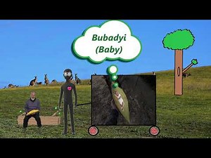 Gulaman Aboriginal Tool Making, A Coolamon !