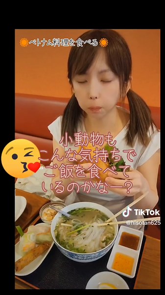 美味しいベトナム料理フォーとバインミー体験