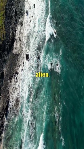 Mind BLOWN! Deep Sea Aliens Exist On Earth!