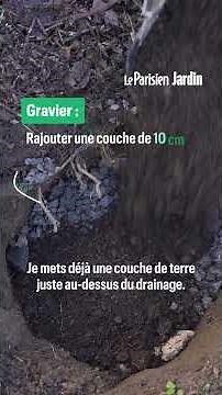 These tiny fruits filled with pearls are worth their weight in gold! Here's how to grow a finger ...