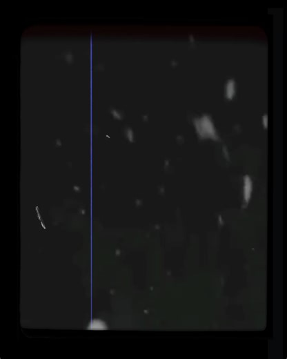 Haal Taan Puchla Dil Da - Full Song Showcase