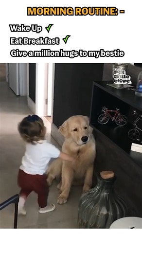 136K views · 1.3K reactions | Cutest morning routine ever! 殺輸 #Toddler #Cute #Dogs #DogLife #DogLovers | The Pet Collective | Facebook