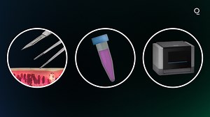 1K views · 21 reactions | Thousands of researchers from more than 70 countries are developing a comprehensive map of every kind of cell in the human body, an endeavor that could transform our understanding of diseases and medicine. | Bloomberg Originals | Facebook