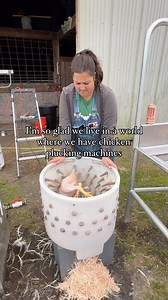 29K views · 613 reactions | Comment “GUIDE” to see all the chicken processing equipment and tools we use to help us work faster and more efficiently. . . . #raisingmeatbirds #cornishcross #processingchickens #chickenprocessing #meatbirds #homesteaders #homesteading #modernhomesteaders #selfsufficiency #selfreliant #fillyourfreezer | Farm To Freezer | Facebook