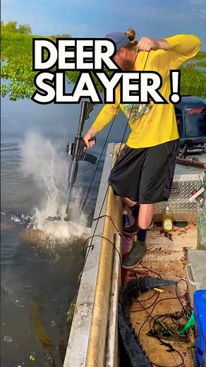 Alligator Hunting Swamp Monsters 🐊