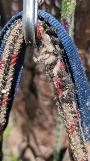 For science . | Travor Ahern