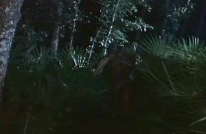 Deadly Species Trailer SD (Englisch) (2002)