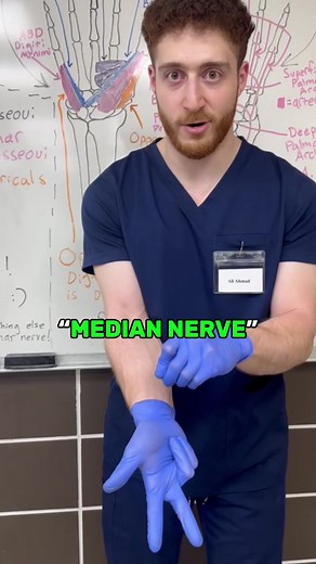 Mastering Hand Nerve Innervations Made Easy