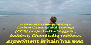 Liverpool Bay Carbon Capture Project Analyse Report