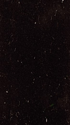 Jeff Starr has entered the Poughkeepsie Rumble! On January 3rd, Mr. Spotlight steps into the 20-Man Over-the-Top-Rope Rumble — and he’s out to become the #1 contender for the ACW heavyweight championship! 🗓 Saturday, January 3rd 📍 MJN Center – Poughkeepsie, NY 💰 Save on Ticketmaster fees — buy direct at MJN Center Box Office: 📍 14 Civic Center Plaza — Poughkeepsie, NY 📞 (845) 454-5800 #ThisIsACW #PoughkeepsieRumble #JeffStarr #MrSpotlight #ACW #ProWrestling #HudsonValley #LiveEvent #Albany 