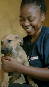 🐾 Ready to #LiveKinder? Small choices. Big impact. 🌍💛 Join the movement for animals, people, and the planet. 👉 Visit https://www.four-paws.org.za/campaigns-topics/topics/livekinder to get started. #FOURPAWS #LiveKinder #AnimalWelfare #KindnessMatters | FOUR PAWS