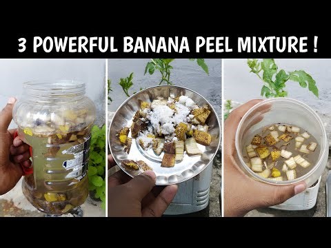 Top 3 Banana Fertilizer Recipes for Maximum Growth | Easy Home Gardening Hacks