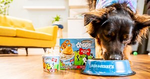Ben & Jerry's Doggie Desserts
