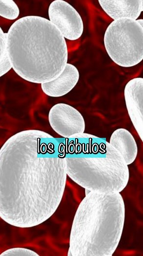 Es más probable que tengas anemia si tienes cáncer, ya que el cáncer se produce por el consumo de alimentos ácidos y esa acidez es la que va a afectar la médula ósea que es donde se forman los glóbulos blancos y rojos, afectándolos y haciendo más propenso al paciente de contraer anemia. #anemia #cáncer #prevenciondeenfermedades #alimentosacidos #anemiaycancer | Dra. Margarita Lilia Cantú