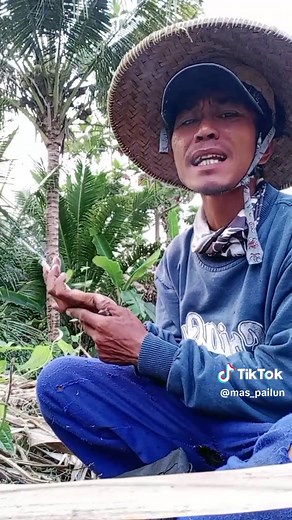 Engaging Outdoor Gardening with Small Seeds