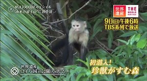 22K views · 1.4K reactions | 放送1000回を記念して、「日本初」にこだわってきた番組の名場面を含めたスペシャル動画を作りました。次回9日放送の"南米の富士山"初登頂の見所も！ごらんください。 | 世界遺産 (TBSテレビ) | Facebook