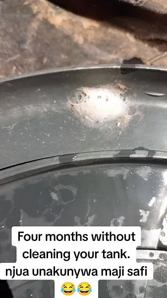 Effective Fish Tank Cleaning Techniques Explained