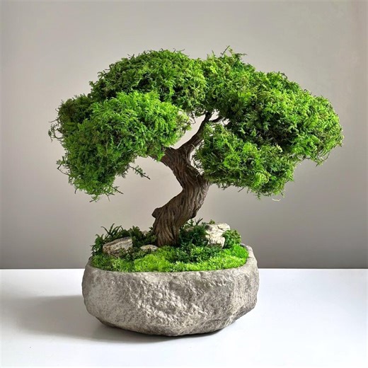 Handmade Preserved Moss Bonsai Tree in Stone-look Ceramic Bowl | Japanese Zen Japandi Decor | No Watering Tabletop Greenery Gift - Etsy