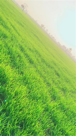 Explore My Beautiful Village: Palak Naaz