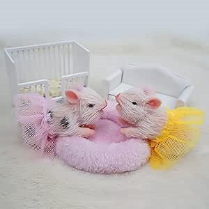 5’’ Full Body Silicone Piglet Cute Lifelike Piglet Reborn Baby Piglet（Silicone Piglet*2）