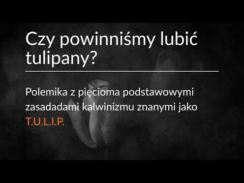 Czy powinniśmy lubić tulipany?