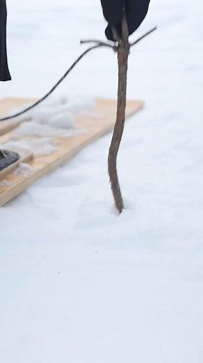 Girl builds WINTER shelter IGLOO 🥶👩 #camping #survival #bushcraft #outdoors #lifehack | Crochet content