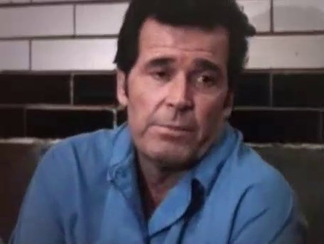 The Rockford Files S06E10 The Big Cheese