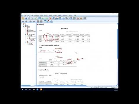 One-way ANOVA and Tukey's post hoc tests using SPSS