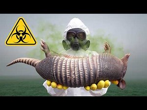 Hunting & Eating the Animal that Carries Leprosy! (Armadillo Catch, Clean, Cook)