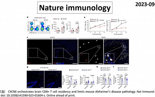 Nature Immunology—脑内CD8+T细胞具有抑制AD病理进展的作用_哔哩哔哩_bilibili