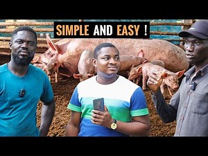 How To Start a LUCRATIVE Pig Farm As a Beginner in 2023 (DETAILED STEPS) #pig #piggerybusiness
