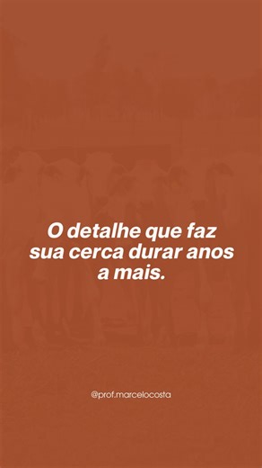 Muita gente acha que a madeira apodrece por causa da água. Mas, o problema está exatamente na linha do solo, onde fungos e bactérias atacam a madeira de forma silenciosa. Com uma solução simples você protege a lasca justamente no ponto crítico e aumenta muito a vida útil da cerca, e é isso que mostro nesse vídeo. No campo, não é gastar mais, é gastar melhor, pensando em durabilidade, manutenção e resultado no longo prazo. | Prof. Marcelo Costa