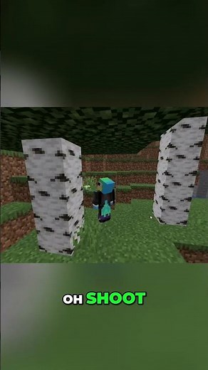 Catching THIS Rare Pokemon In Pixelmon! #pixelmon