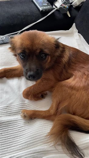 Nina Müller on TikTok