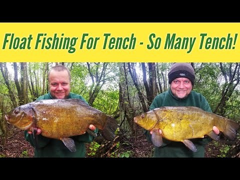 Tench Fishing - Lift method - Hectic Short Session! (Video 224)