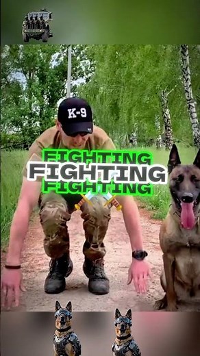 Elite Military Dogs Training 23 Seconds #military #dog #k9