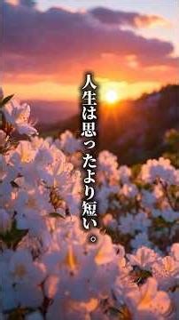 人生は思ったより短い…今すぐ大切にすべき7つのこと #名言 #波動