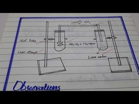 How to write Chemistry practical in board exam||Class 10th||Practical tips||Model Practical solution