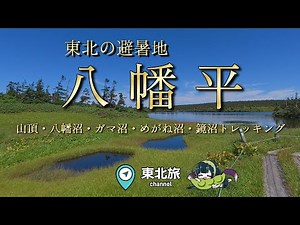 【岩手・秋田の旅】東北の避暑地、八幡平トレッキング／ #八幡平 #トレッキング #旅行