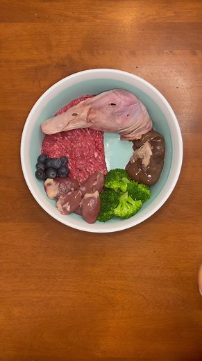 10K views · 111 reactions | RAW dog food vs kibble taste test 數北 #dogs #dogmom #dogfood #rawfeddog #dog #dogtreats #kibble #reels | Kayla Kowalski Nutrition | Facebook