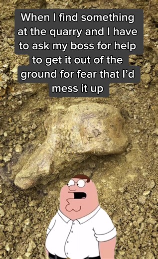 I still have so much to learn! 😅 #wyoming #fossil #fossils #fossilhunting #fossiltok #fossilprep #paleontology