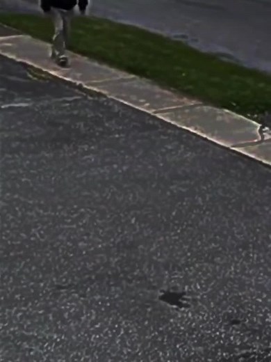 respect #ww2 #war #america #usa #veteran