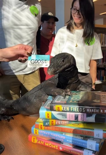 Thank YOU for an incredible 2025 at Gladys E. Kelly! 65,754 people were counted coming through the door this year. Here are some of our favorite memories from 2025 at the library! | Gladys E. Kelly Public Library