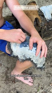 How to tan rabbit hides using natural materials #fyp #bushcraft #survival #primitive #hidetanning #leather #fur #howto #sagesmokesurvival | Sage Smoke Survival