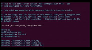 Changing default SSH port in OpenSSH | ScalaHosting KB