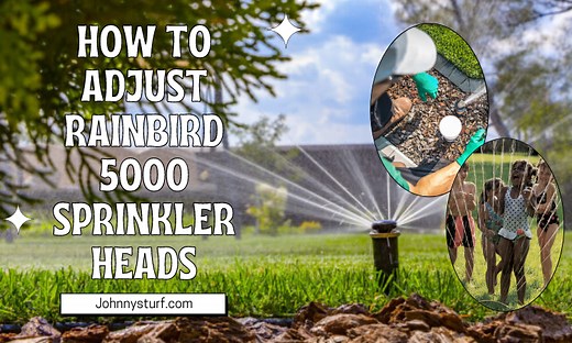 Guide on Rainbird 5000 Adjustment - Rainbird Sprinkler Heads