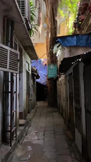 Discovering a Hidden Secondhand Bookstore in Hanoi