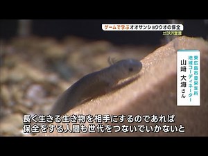 【東広島市】次世代につなぐオオサンショウウオ保全 子どもたちによる新たな取り組み