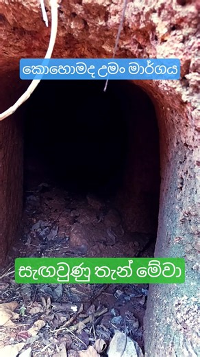 Unseen Nature Trail in Sri Lanka සැඟවුණු උමන් මාර්ගයක්